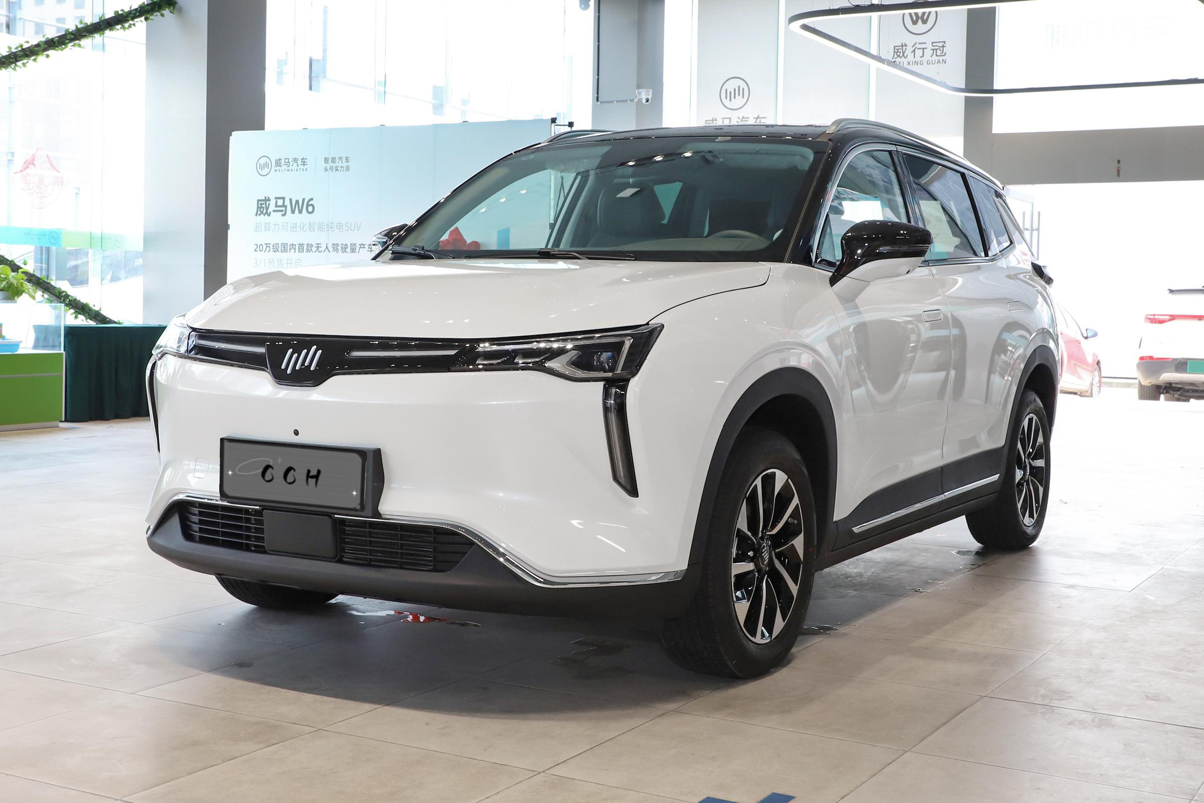 Single Speed Transmission Full Electric SUVs Weima W6 Medium SUV
