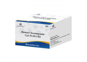 China CgA ELISA RUO Test Kit Human Chromogranin A Elisa Kit Pituitary Secretory Protein I wholesale