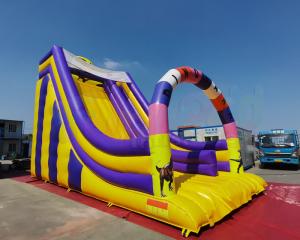 China Playground Jumping Inflatable Slide Bouncer For Birthday Party on sale