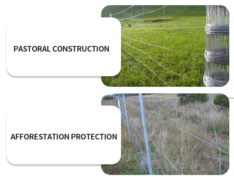 Anping manufacturers directly sell galvanized rust-proof wire mesh breeding fence fence cattle and sheep block
