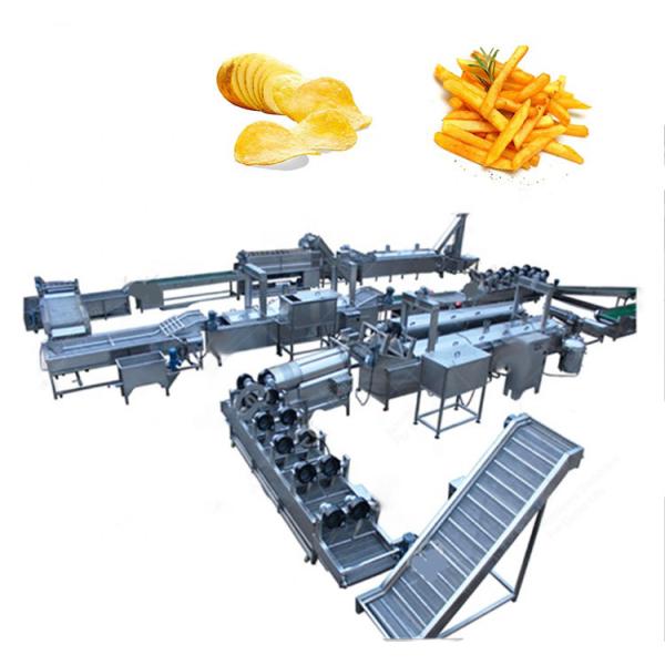 Continuous Fruit And Vegetable Processing Line Dehydrated Dried Equipment