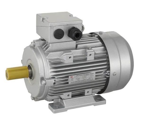 Quality 3 phase asynchronous induction motor for sale