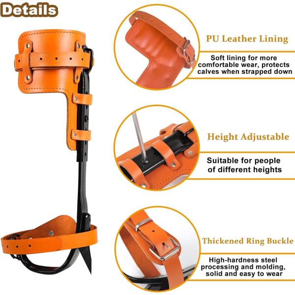 Tree Climbing Gear Set Professional Tree Climbing Spikes