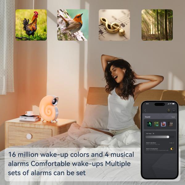 Phantom Music Rhythm Light LED Table Lamp with Conch LED Night Light and Stereo BT Speaker