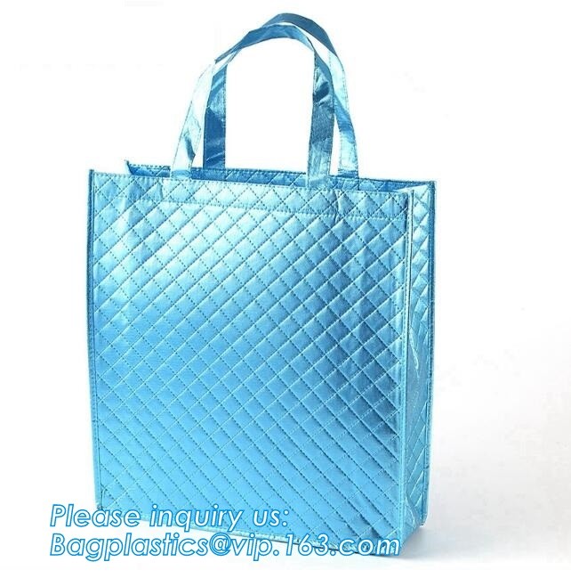 Customized logo printing insulated food delivery cooler bag,wholesale waterproof food delivery thermal bags bagplastics
