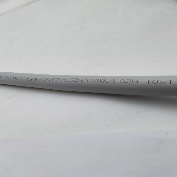 Instrumentation Cable 300/500V CU/MGT/XLPE/OS/FR/LSZH/GSWA/LSZH 10х1