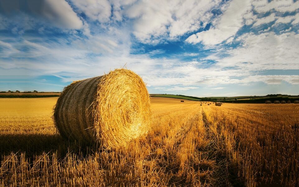 High Breaking Strength Polypropylene Baling Twine , UV Treated Grass Hay Baler Twine