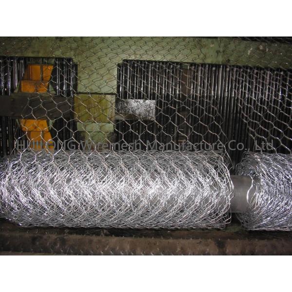 Bwg18 1/4 Inch Hexagonal Wire Netting For Fence Or Bird Cage