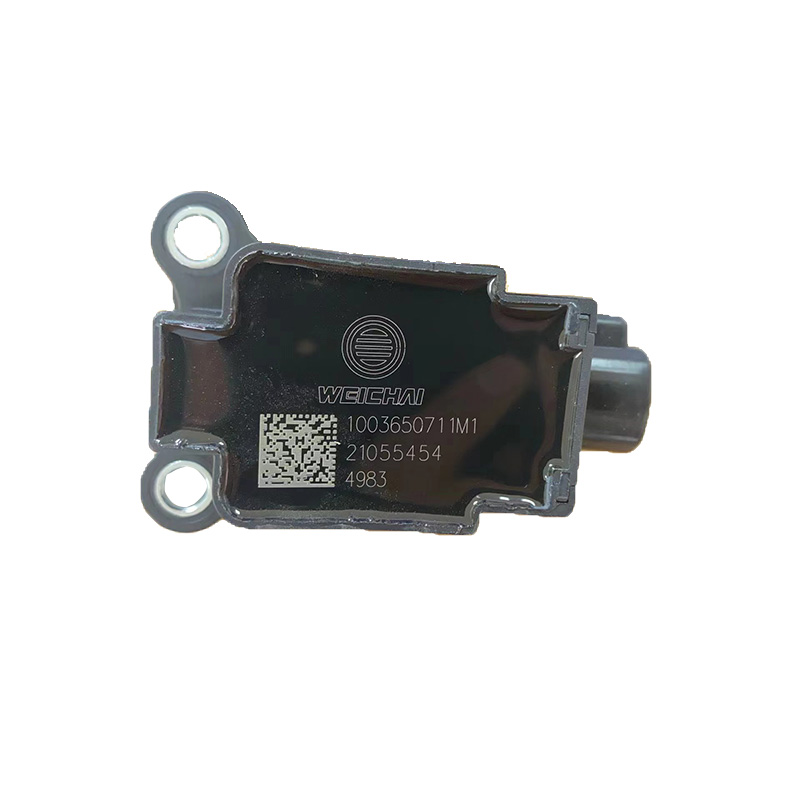 Foshan Truck Weichai Ignition Coil Ignition Parts 100%tested Spark Plug Cable 1003650711