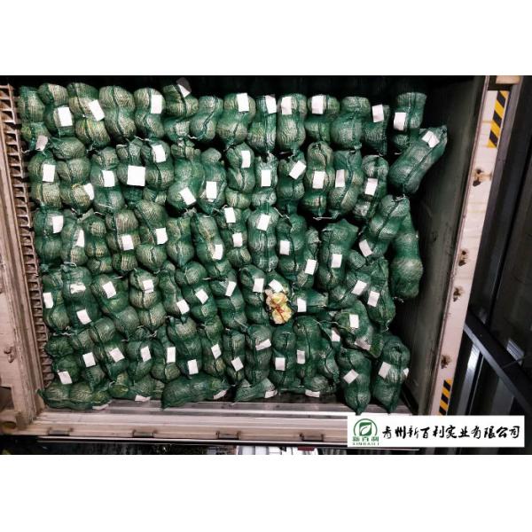 Safety Chinese Green Cabbage Lower Cholesterol Levels Without Pollution