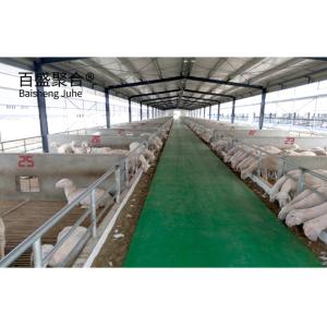 China Aluminum Alloy Window Prefab Steel Construction Agricultural Building for Cattle Barn wholesale