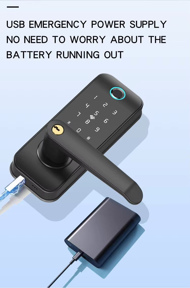 Smart Handle Door Lock Security Biometric Keyless Door Lock 35mm - 55mm
