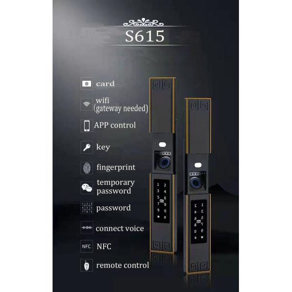 Luxury IP68 Waterproof Digital Lock TTlock APP Password Fingerprint Locks