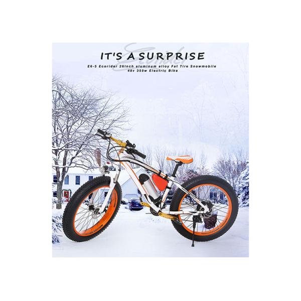 Fat Tyre 2 Wheel Electric Bike 48V Mountain Bike Electric Snowmobile Alloy Frame