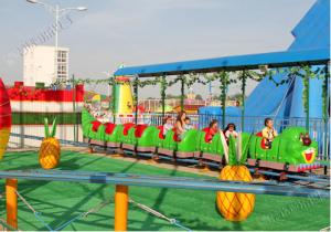 9KW Power Amusement Park Roller Coaster 6 - 9km/H Speed 14 Person Crew