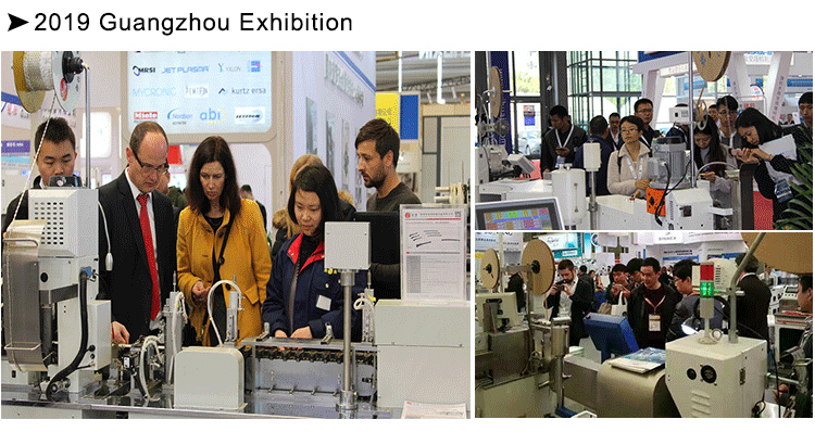 Mini Automatic Computer Wire Cutter and Stripper Machine for 4mm2 Electric Steel Wire