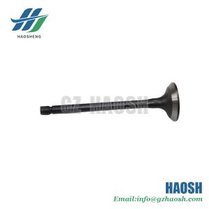 Intake Valve 8-97309675-0 8973096750  Suitable For Isuzu CXZ 10PD1