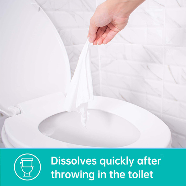 OEM Biodegradable Wet Toilet Paper Alcohol Free Hypoallergenic Adult Flushable Wipes