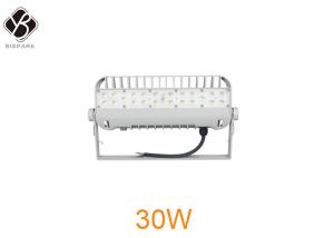 China High Output 30W IP66 LED Outside Flood Lights OEM / ODM Bridgelux LED Chip on sale