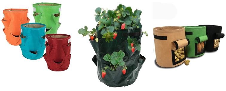 HOTICULTURAL MULCH FILM,AGRICULTURAL PE FILM,MARKET GARDENERS CLOCHE FILM,PE FILM FOR CORN,PLASTIC FILM COVER,TOMATO COV