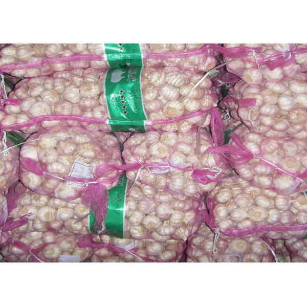 Plastic Polypropylene Woven Industrial Mesh Bags For Orange / Garlic , Tubular Shaped