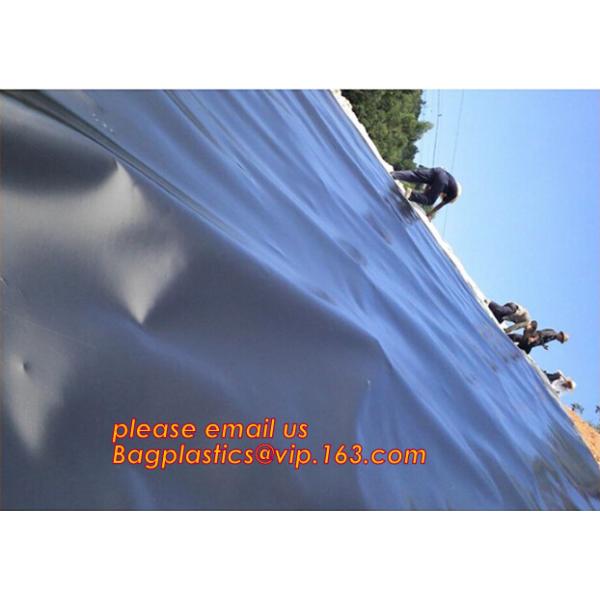 Eco-Friendly Hdpe Geomembrane Liner Geomembrane Price,Eco-Friendly Hdpe Geomembrane Liner Waterproofing Membranes BAGEAS