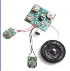 China OEM design Recordable Sound Module with pre - recorded sounds, voice, music, messages wholesale