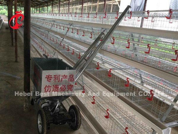 Battery Poultry Farming Cage System Decrease Temperature For Layers Star