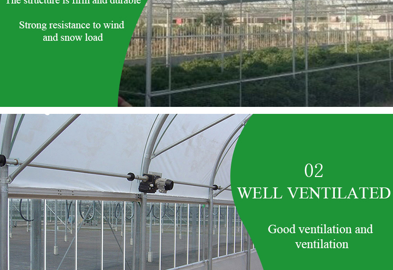 PO Single Layer Greenhouse for Agriculture Boost Agricultural Production