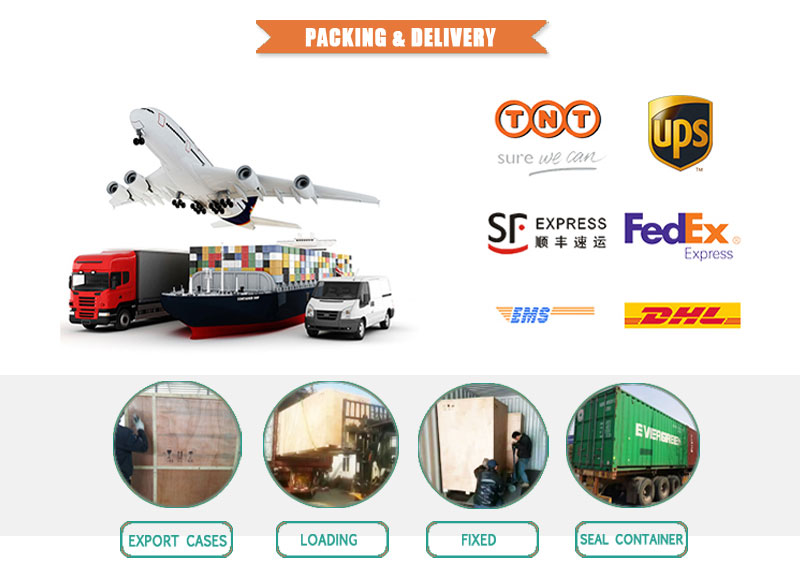 Automatic Fish Back Opening Machine SUS304 for Channel Catfish Tilapia Snakehead Grass Carp Aquatic Processing Factory