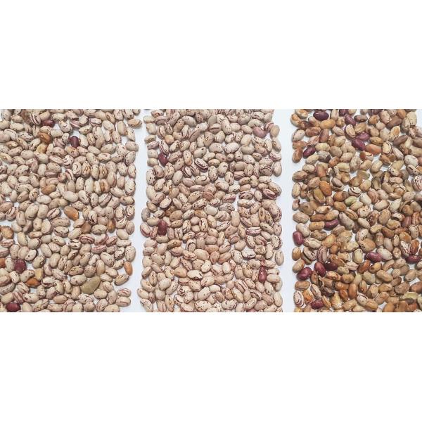 Fast Speed Belt Color Sorter With Remote Control System