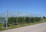 Customized Insect Mesh Netting , Agriculture Insect Proof Netting White Color