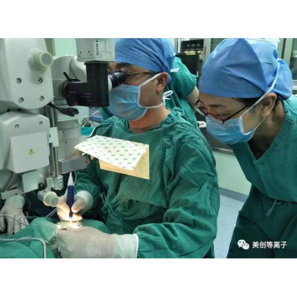 Minimally Invasive Plasma Spine Probe In Intervertebral Foramen Endoscope Operation
