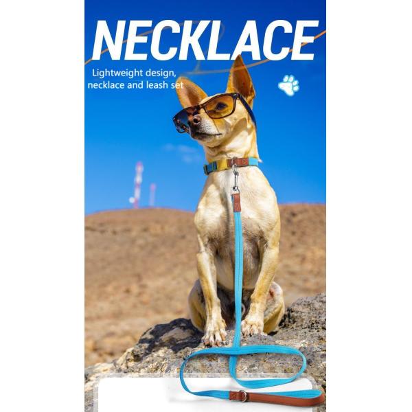 Anti Breakaway Dog Training Collars Safe Small Medium Sized Pet Collar
