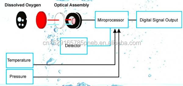 Portable Luminescent Dissolved Oxygen Meter Fast Response Water Testing Probe 6v