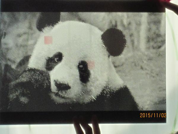 Quality Stainless Steel Art Perforated Mesh Curtain Wall for sale