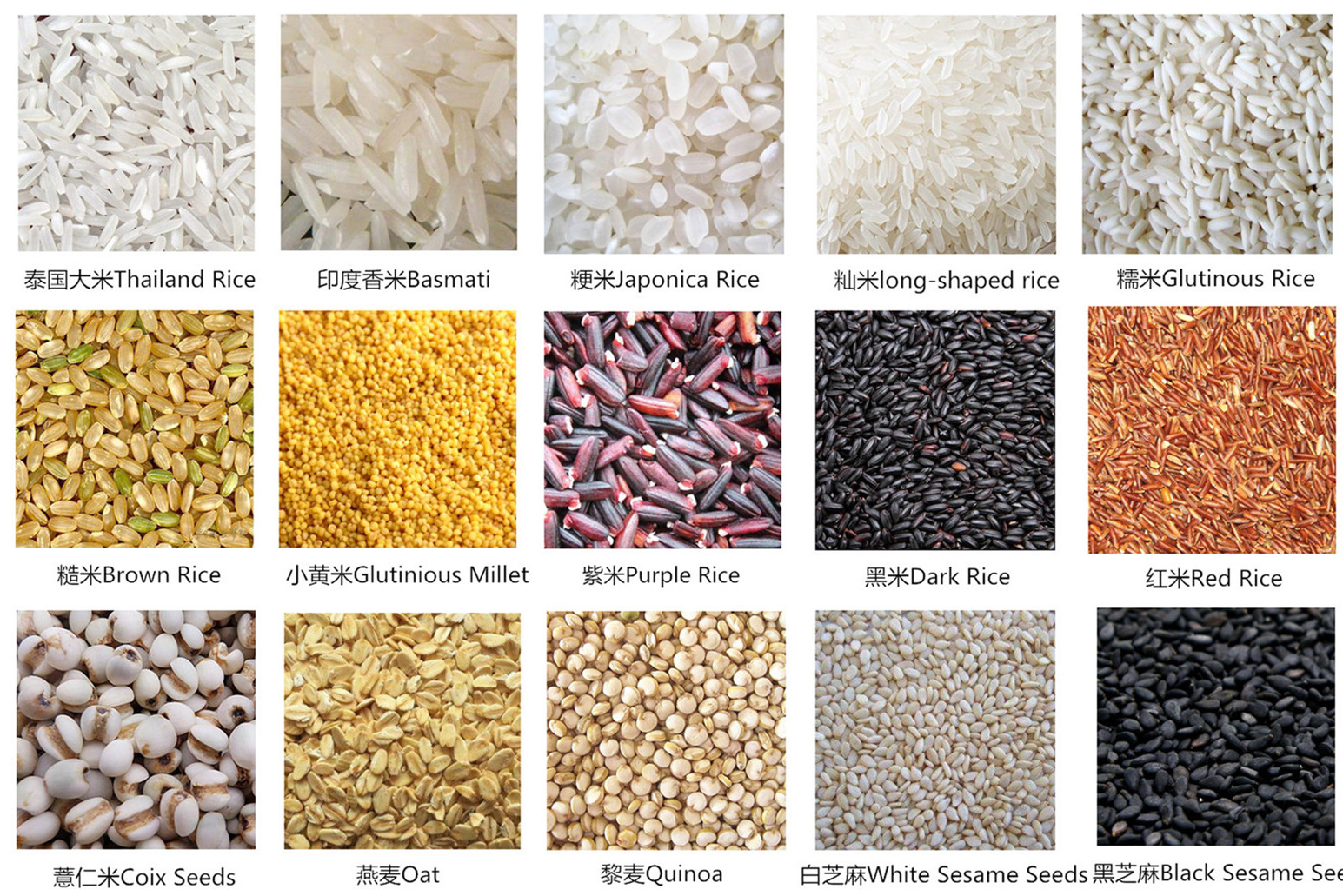 Agricultural Color Sorting Machine With LED Shadowless Cold Light Source System