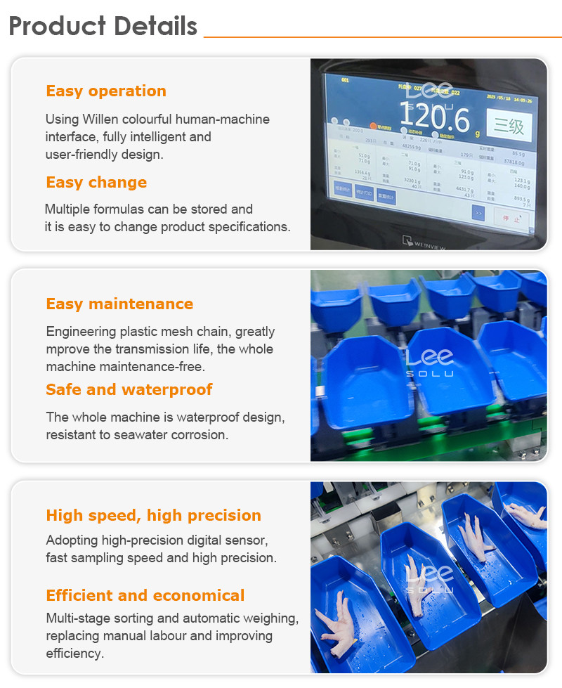 Easy Operation Tray Type Apple Lemon Peach Orange Kiwi Mango Avocado Fruit Grader Sorting Machine