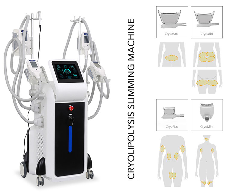 Professional 4 hands cryolipolysis cool body sculpting machine fat freezing slimming machine 360 degree for double chin 