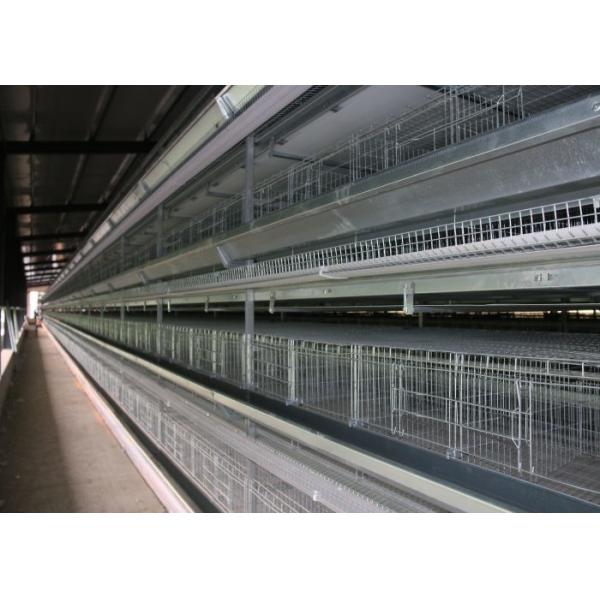 Battery H Type Layer Chicken Cage Low Noise High Carrying Capacity