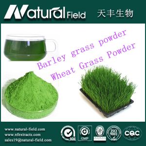 China 25:1green weight grass powder on sale