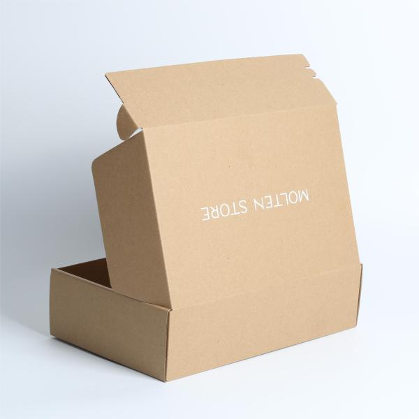 Silver White High Strength Kraft Corrugated Zipper Paper Box with Custom Printing