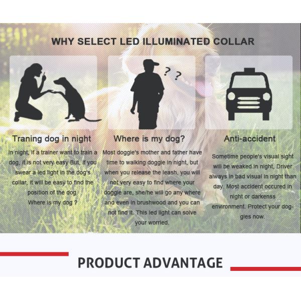 Light Up LED Dog Collar , Luminous Flashing Dog Collars For Small Dogs