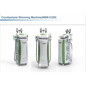 China Cryolipolysis Slimming Machine NBW-C325 wholesale