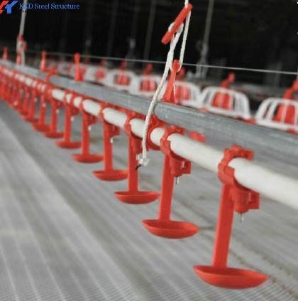 Steel Structure Poultry House with Automated Feeding and Ventilation Systems