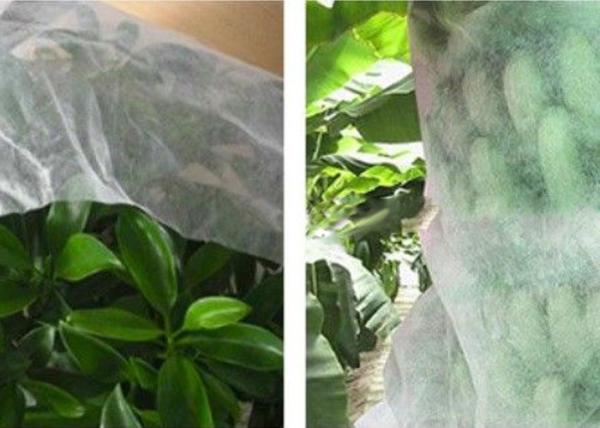 Quality Good Transparency Agriculture Non Woven Fabric Non - Poisonous Frostproof Fabric for sale
