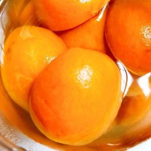 China Canned Apricot wholesale