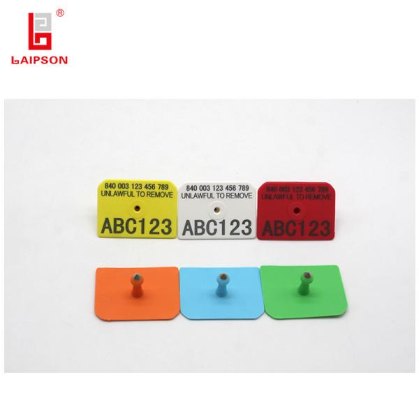 Quality Rectangular Livestock Ear Tags 52mm 38mm Pig Hog Swine Use With Laser Marking for sale