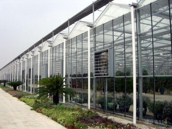 Quality Sound Insulating Commercial Glass Greenhouse Good Display Effect Beautiful Appearance for sale