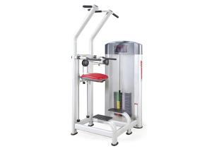 China Sport Life Fitness Strength Gym Equipments Assist Dip Chin Exercise Machine on sale